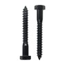 Evecad 10PCS 3/8" x 3" Hex Head Lag Screws, Stainless