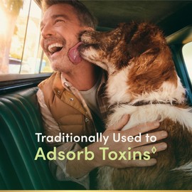 Nature's Bounty Activated Charcoal 260 mg, 100 Capsules, Dietary Supplement to Support a Healthy Lifestyle