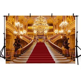 AIBIIN 8x6ft Red Carpet Event Backdrop Movie Ceremony Birthday Party Baby Shower Celebrity Party Decoration Background for Photography home wallpaper Studio Booth Prop Supplies