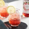 FixtureDisplays Monin Premium Cranberry Flavoring / Fruit Syrup 544SYPAR015A