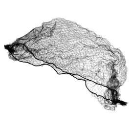 WOONEKY 50 Pack Hairnets Hair Bun Covers Women Hairnet Bun Cover Ballet Hair Accessories