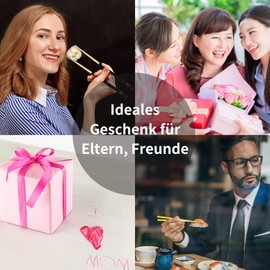 AMOTANG 2 Pairs Chopsticks Dishwasher Safe with 2 Ceramic Chopsticks Holder, Reusable Sushi Chopsticks Food Chopsticks in Matching Gift Box, Design of the Forbidden City in China