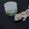 [Set of 3] Ioreze Terrarium Gel 3.5 oz (100 g)