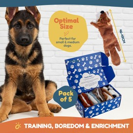 Pets & Play Dog Plush Toys 5 Pack | No Stuffing Squeaky Dog Toys Set | Stimulating for Puppies, Small, Medium & Large Dogs | Training, Enrichment & Boredom | Interactive Dog Toys for Bonding Play | UK