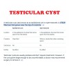 ORGANIC VITAMINS QUISTE TESTICULAR ROMOVEDOR - NO MAS DOLOR -