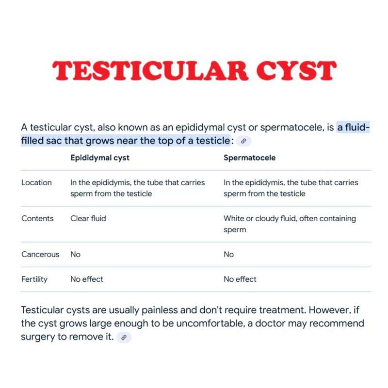 ORGANIC VITAMINS QUISTE TESTICULAR ROMOVEDOR - NO MAS DOLOR -