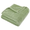 PAVILIA Sage Green Fleece Throw Blanket for Couch, Light Olive