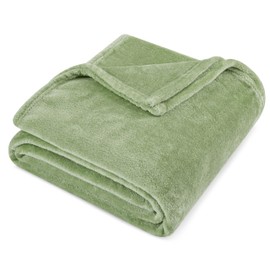 PAVILIA Sage Green Fleece Throw Blanket for Couch, Light Olive Soft Fuzzy Flannel Throw for Sofa, Luxury Plush Microfiber Bed Blanket, Cozy Home Decorative Velvet Gift Blanket, 50x60