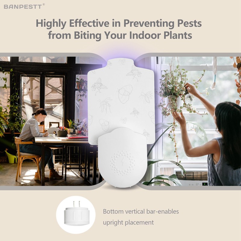 BANPESTT Refill Glue Boards for Flying Insect Trap Indoor Mosquito