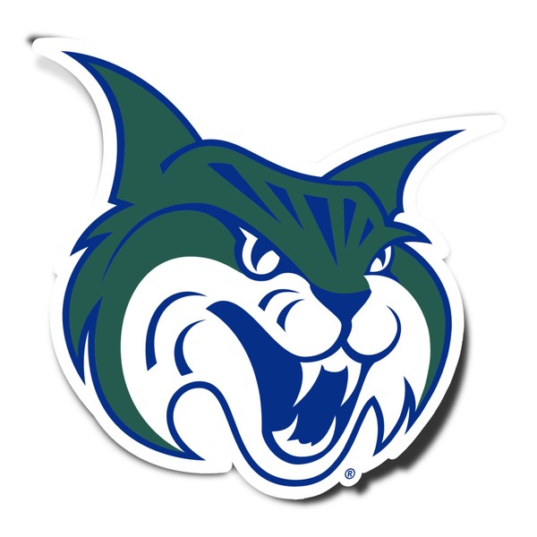 Desert Cactus Georgia College Sticker GC Bobcats Vinyl Decal Laptop