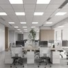Taaizau 12-Pack White Ceiling Panel 2ft x 2ft (24in x
