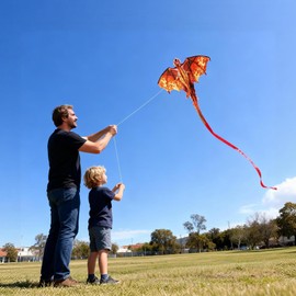 FejoHify Large Dragon Kite for Kids and Adults, Easy to Fly with 300ft String, Perfect for Beach, Park, Outdoor Activities, Gift for Boys Girls.(Fire)
