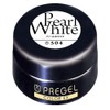 Prigel Gel Nail Color EX Pearl White 504