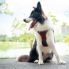 PHOEPET Upgraded No Pull Dog Harness, Reflective Adjustable Vest, with