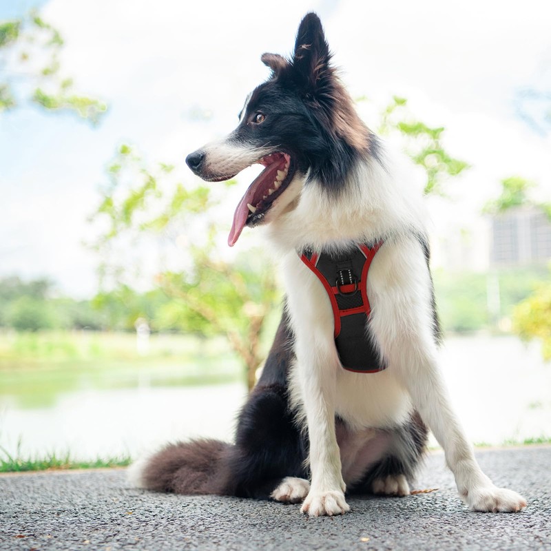 PHOEPET Upgraded No Pull Dog Harness, Reflective Adjustable Vest, with