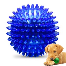 PetSport Gorilla Spiky Ball 2” - Spiky Rubber Dog Ball Toy, Interactive Puppy Toy for Small Dogs and Puppies, TPR Rubber, Vanilla Scented - 2 Inch, Small