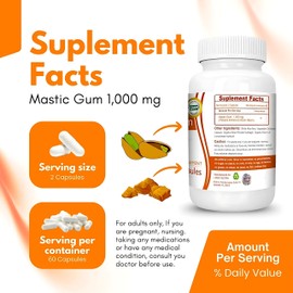 Logic Nutra Premium Mastic Gum Capsules - Natural Gastrointestinal Support Supplement, 1000mg Per Serving - 120 Capsules (1 Bottle)