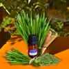 Lemongrass Tea - Size: 10ml
