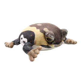 takeoff magnetic American frog