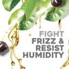 Ogx Hydrate & Defrizz + Kukui Oil Anti-Frizz Hydrating Oil