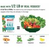 Brad's Plant Based Organic Crunchy Kale, Radical Ranch with Probiotics,