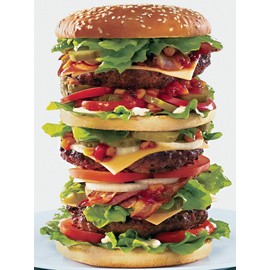 Majestic Puzzles 20 Inch x27 Inch 1000 pc. Puzzle - Super Size