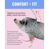 PORCINE® Mini Pig Harness & Leash (S/M) - Fully Adjustable,