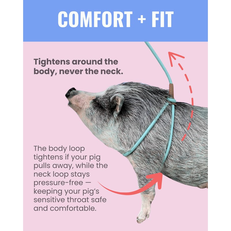 PORCINE® Mini Pig Harness & Leash (S/M) - Fully Adjustable,