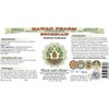 Bromelain Alcohol-Free Liquid Extract, Bromelain (Ananas Comosus) Dried Powder Glycerite