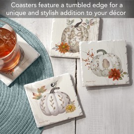 Thirstystone Chinoiserie Fall Pumpkins Assorted Tumbled Tile Stone Coasters with Protective Cork Backing 4-Pack Manufactured in The USA