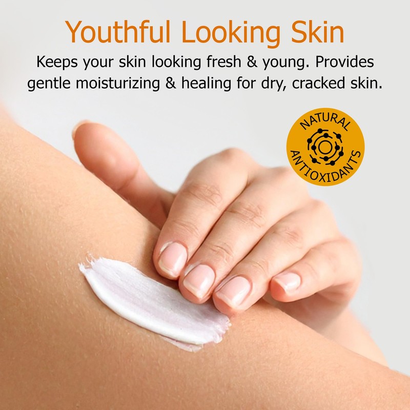 Fruit of the Earth, Vitamin E Lotion, 16 oz