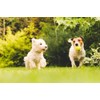 1000 Foot Spool for Any Underground Electric Dog Fence System