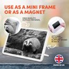 1 x Fridge Magnet - Cute Badger Wildlife Animal #36686