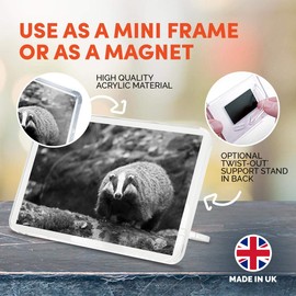 1 x Fridge Magnet - Cute Badger Wildlife Animal #36686