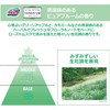 Liquid Bluelet, Shimmering Colorful Flowers, Lium Hana, Pure Bloom Scent,