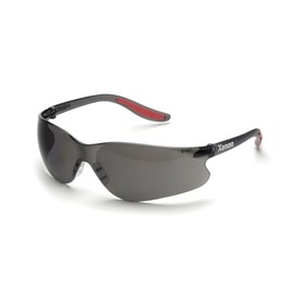 Delta Plus Xenon Grey Anti-Fog