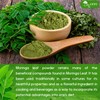 TOG999, Premium 8oz Moringa Leaf Powder, 100% Natural and Pure