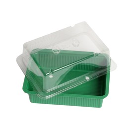 Floraworld 011517 Indoor Greenhouse Small Classic Green 20 x 15 x 10 cm