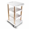 Esthetician Cart with Wheels Utility Salon Rolling Trolley, Two Tiers