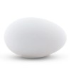 BESTPYSANKY Blown Out Hollow Real Goose Eggshell, Empty Cleaned-Out ...