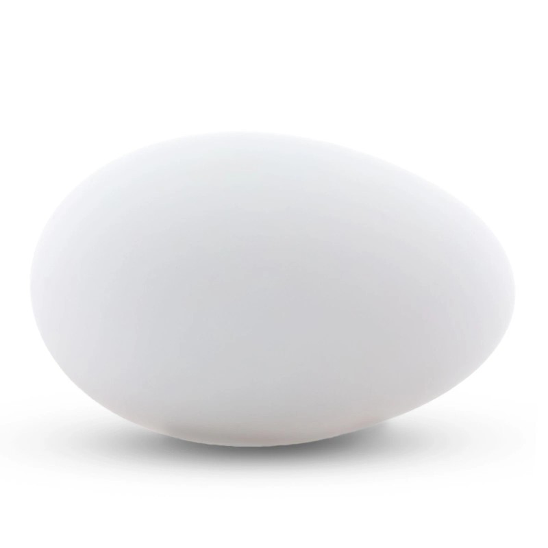 BESTPYSANKY Blown Out Hollow Real Goose Eggshell, Empty Cleaned-Out ...