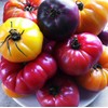 This is A Mix 30 Rainbow Deluxe Tomato Seeds Mix