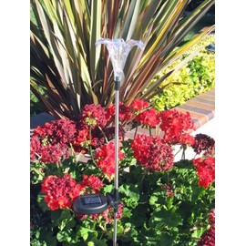 Ntertainment House Solar Garden Stake Lights with Color Changing LED or Regular White LED Landscape Path Lights (Set of 2) (Lily Flower)