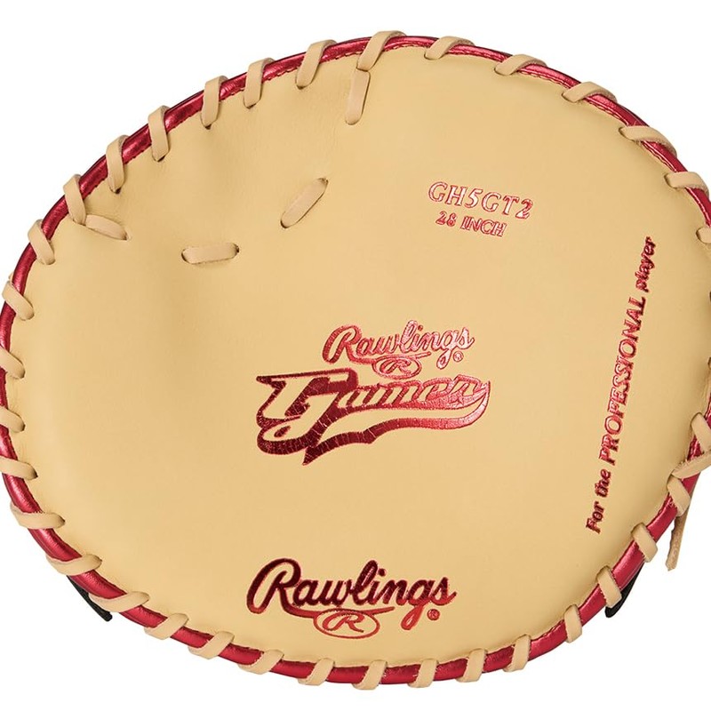 Rawlings Baseball Glove Hard Adult GAMER TRAINING GH5GT2 Camel/Navy [Training]