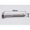 SKIR'CO (Pack of 50) A2 Stainless Steel Hexagon Wood Screws