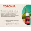 Young Living Aceite Esencial Para Difusor De Toronja Young Living
