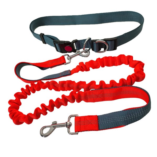 QitinDasen Hands Free Dog Leash, Grey Adjustable Waist Belt and