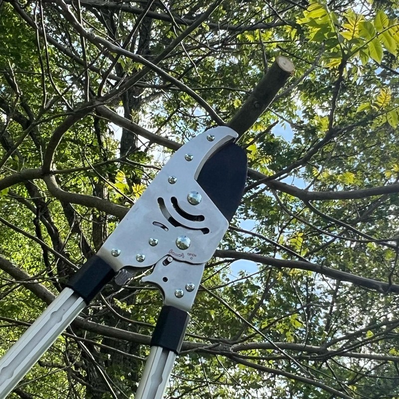 Anvil Lopper Replacement Blade - Large Coated Alloy Steel Blade