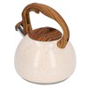 Whistling Tea Kettle 3L Large Capacity Home Stainless Steel Whistle