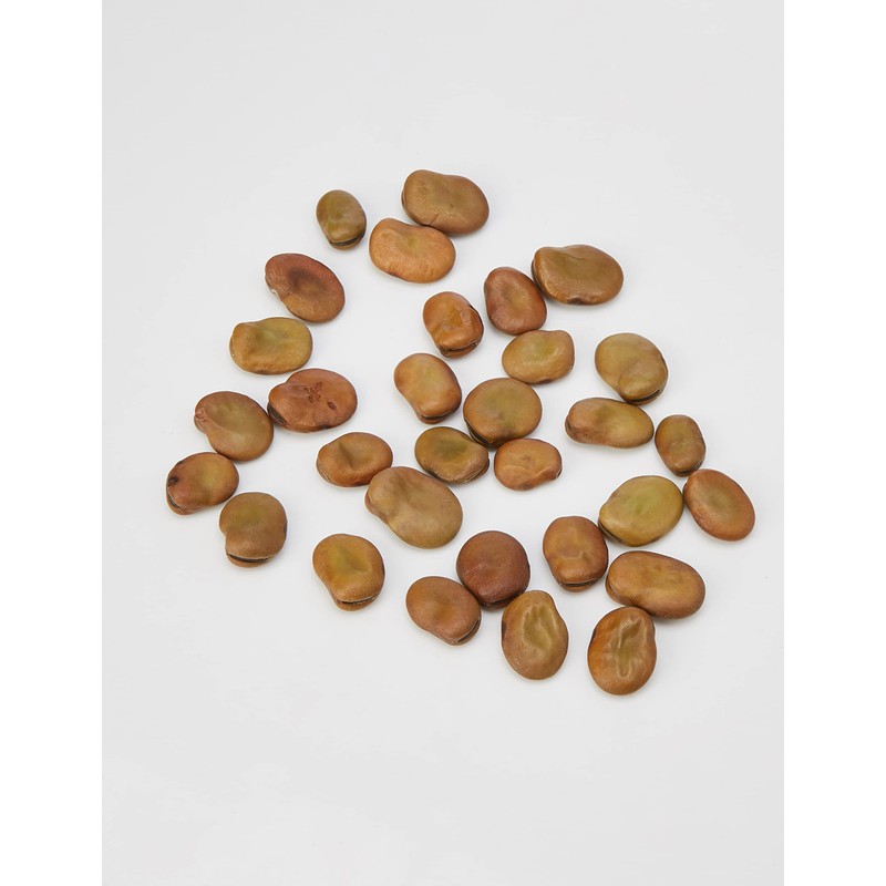 Mr Fothergill's 20086 Broad Bean Masterpiece Green Longpod